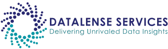 DataLense Services Logo